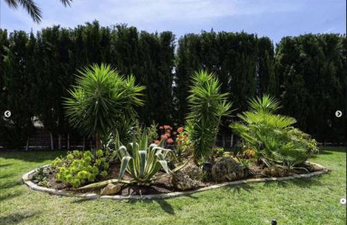 Villa Aloe Ibiza - Foto 35