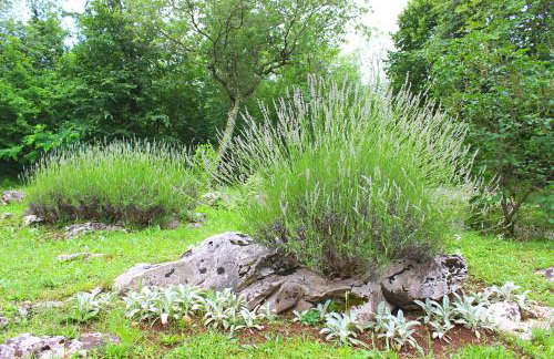 Holiday Home Deni - Foto 37