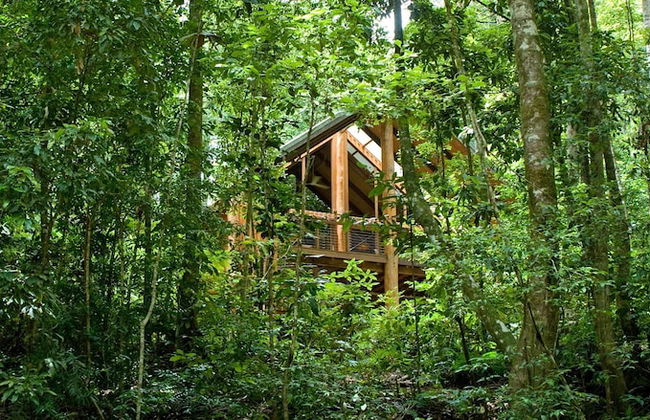 The Canopy Rainforest Treehouses and Wildlife Sanctuary - Foto 24