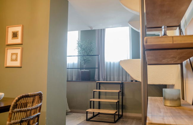 Olive Nature - Foto 23