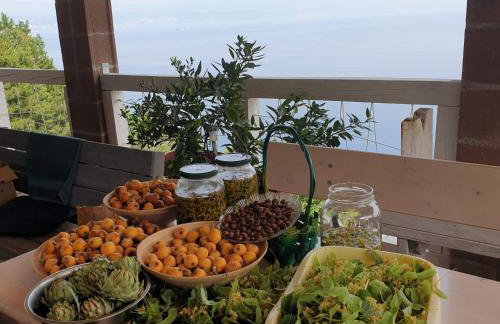 Mary's Garden - Foto 4