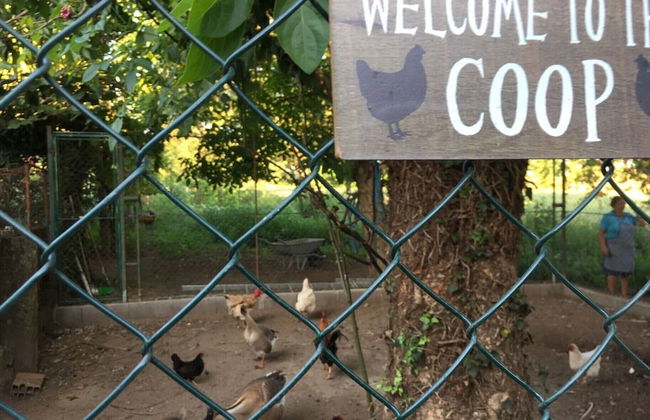 Lovely 6-bed Cottage in Braga Enjoy and Relax - Foto 39