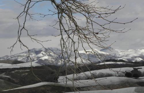 Pena plata - Foto 27