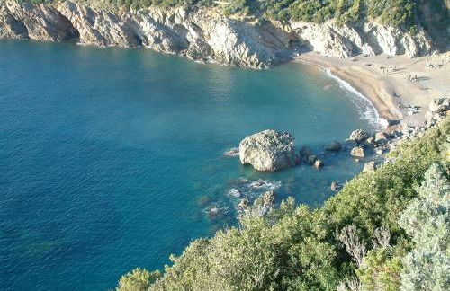 B&B Agriturismo Regno di Toscana - Foto 4