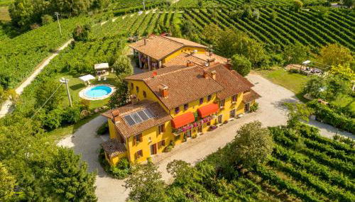 Azienda Agricola Campion - Foto 2, Garden view