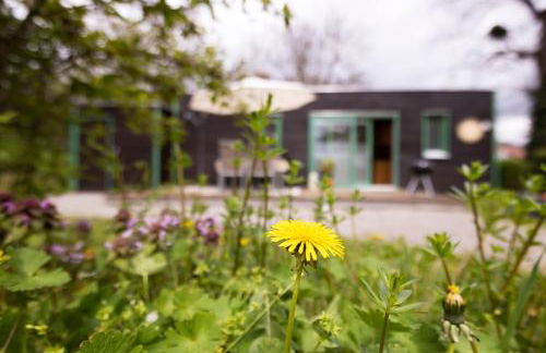 homie stay Radapartment -Terrasse & Grill - Foto 8