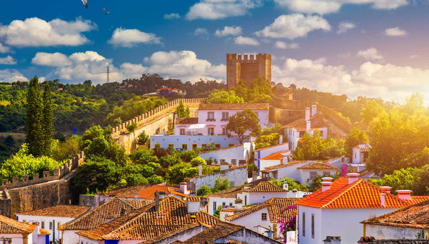 Visite guidée dans Óbidos + dégustation de Ginjinha - Photo 5
