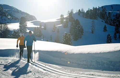 Skyview Chalets am Camping Toblacher See - Foto 31