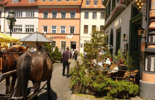 Ferienwohnung Schulze - Photo 21