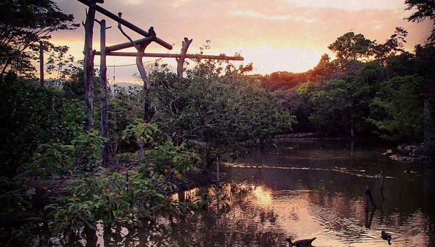Coucher de soleil dans la jungle de Aluxes