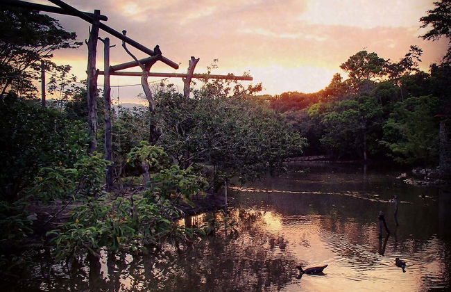 Aluxes Ecopark Trip - Foto 2