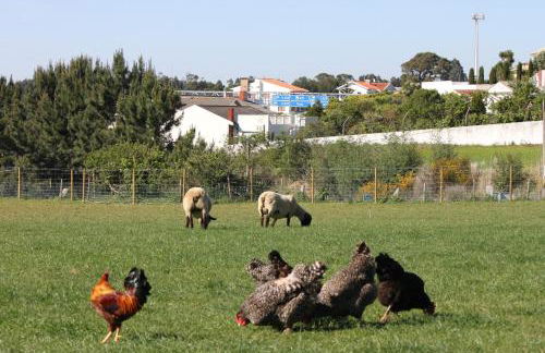 Casa dos meus avós -Villas - Gaia & Porto - Foto 58