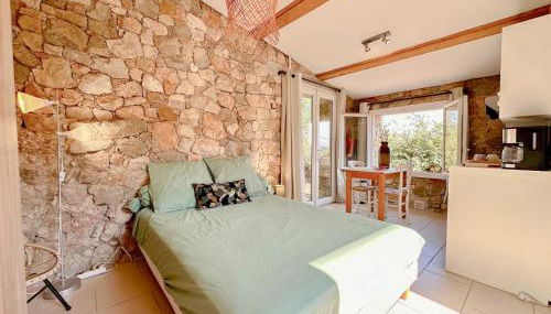 Villa Le Soleil Bleu - Piscine - Jardin - Foto 5