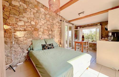 Villa Le Soleil Bleu - Piscine - Jardin - Foto 5