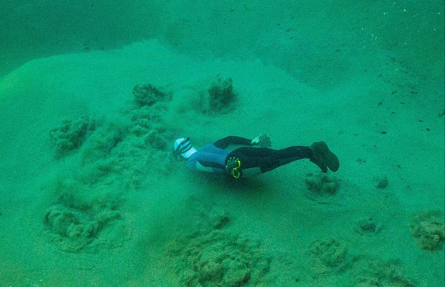 Snorkeling nei fiumi Prata e Olho d'Água - Photo 5