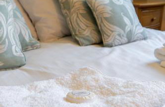 Deer Corner - Photo 11