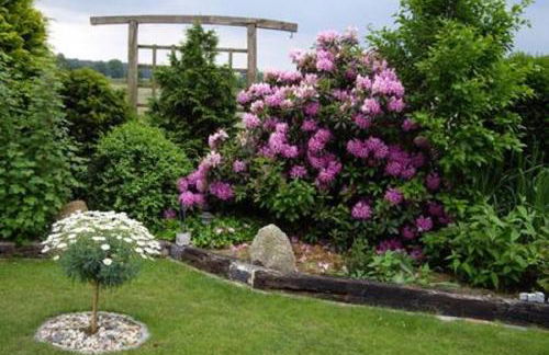 Bei Oparius wohlfühlen - Foto 27