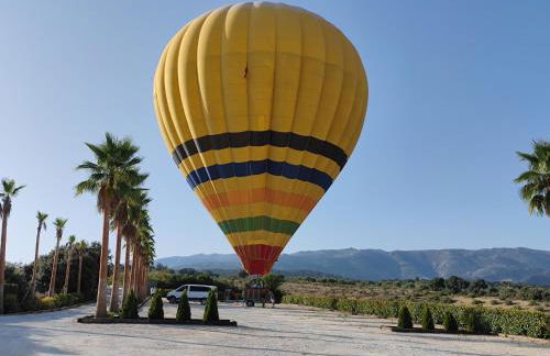 La Marabulla - Photo 12