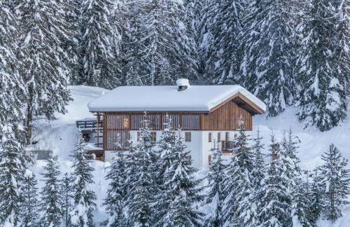 Tannhäuser Mountain Chalet - Foto 29