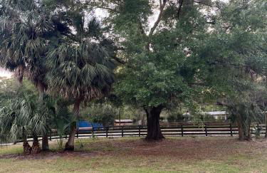 Double D Ranch - Foto 20