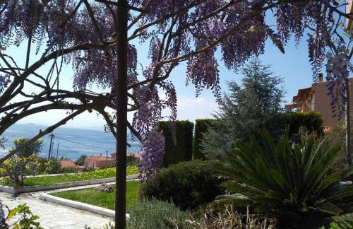 Blue Horizon Retreat - Foto 33