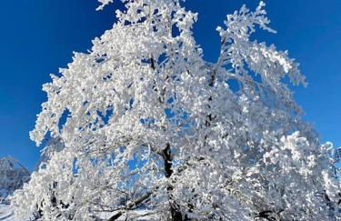 Apartment mit Wintergarten und Terrasse in ruhiger Lage im schönen Taunus - Foto 51