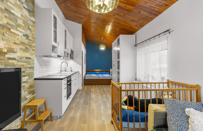 Desná v Jizerských horách - Foto 4