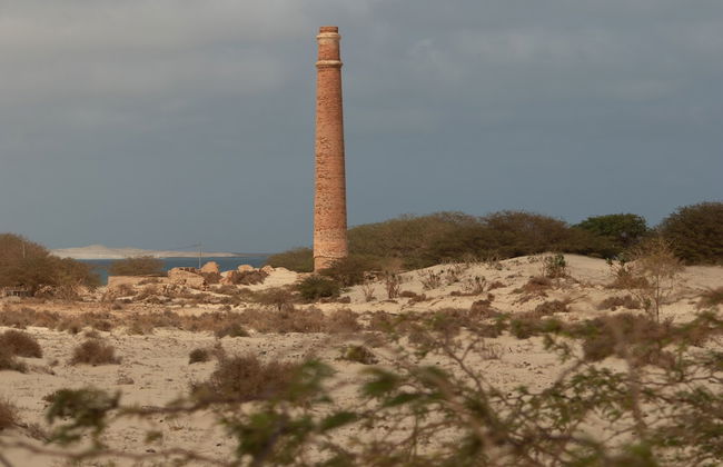 Swyn - The Flat Close To The Beach - Foto 49