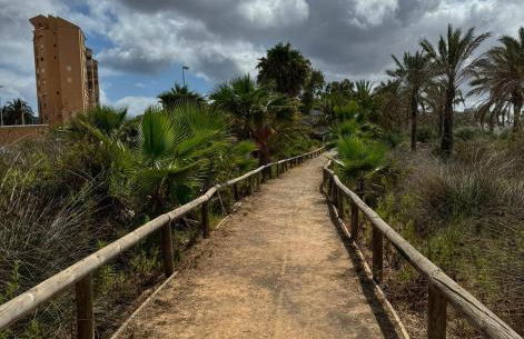 Esmeralda Dreamy Sunset - Foto 35