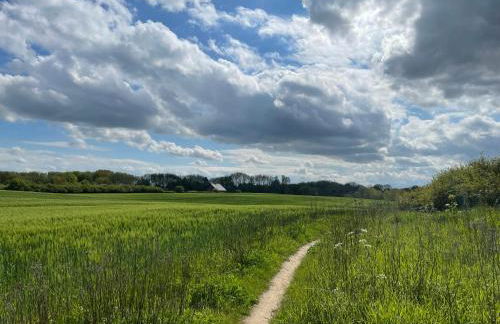 Redewischer Str.8 - Foto 15