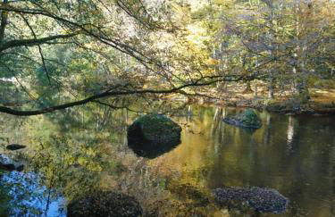 La Croisée Des Chemins - Foto 20