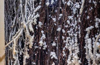 Łabowska Chata - Basen, Sauna, Grota solna - Foto 69