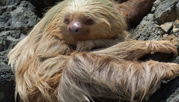 Disfrutando de la excursión al Parque Nacional Manuel Antonio