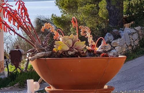 Kuća Mali Raj - Little Paradise - Foto 50