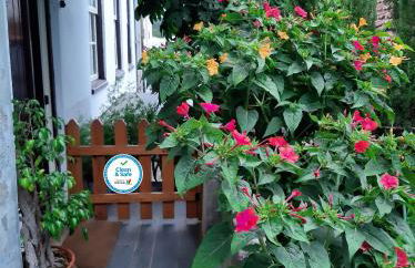 Casa do Sr. Falcão - Foto 1