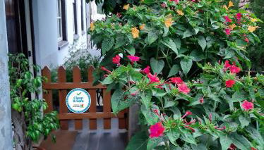 Casa do Sr. Falcão - Foto 1