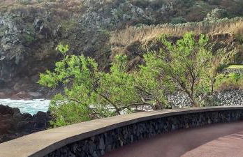 Casa da Salga, Biscoitos - Photo 36