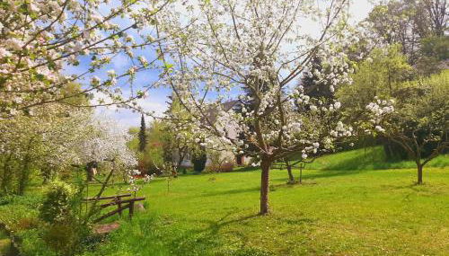 Die Malche Gäste und Tagungshaus 16 - Photo 2