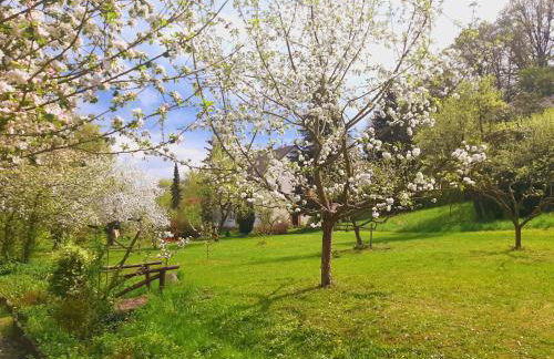 Die Malche Gäste und Tagungshaus 16 - Photo 2