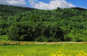 Domek GORCZAŃSKA KOLIBA w Gorcach - Foto 26