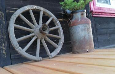 Domek na wsi Wiejsko Czarodziejsko - Agroturystyka Podlasie - Foto 22