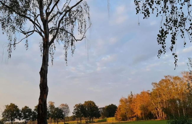 Apartment in Gelderland Near Nature Trails - Photo 40