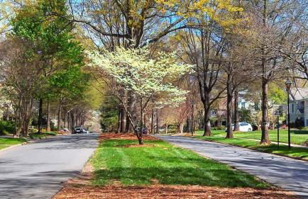 Myers Park Gem Great location - Foto 30