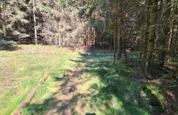 Haus Kellerwald - Ferienwohnung Kellerwald-Edersee - Foto 30