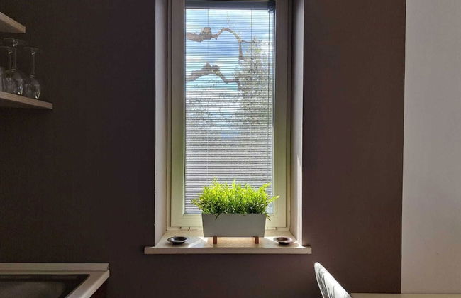 Gelsomino Garden - Foto 9