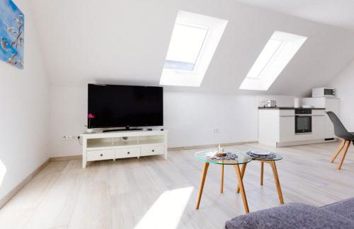 Weserrobbe - Foto 13