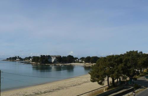 MOUETTES 3 - Balcon, Vue Mer, Men Du - T356 - Foto 19