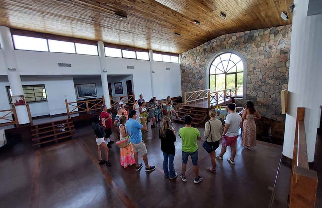 Tour nel sud della zona vitivinicola della Valle de Uco - Foto 9