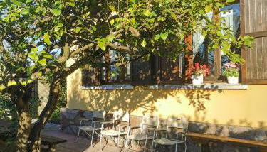 Chalet céntrico costero en Gijón - Foto 2, Garden