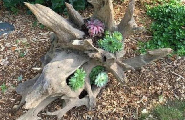 Holiday Home Schwalm - Foto 24